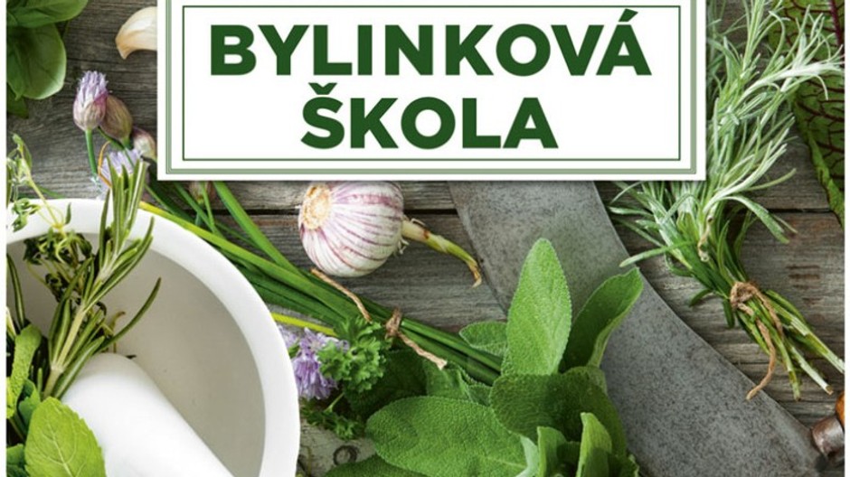 Bylinkova skola - Copy