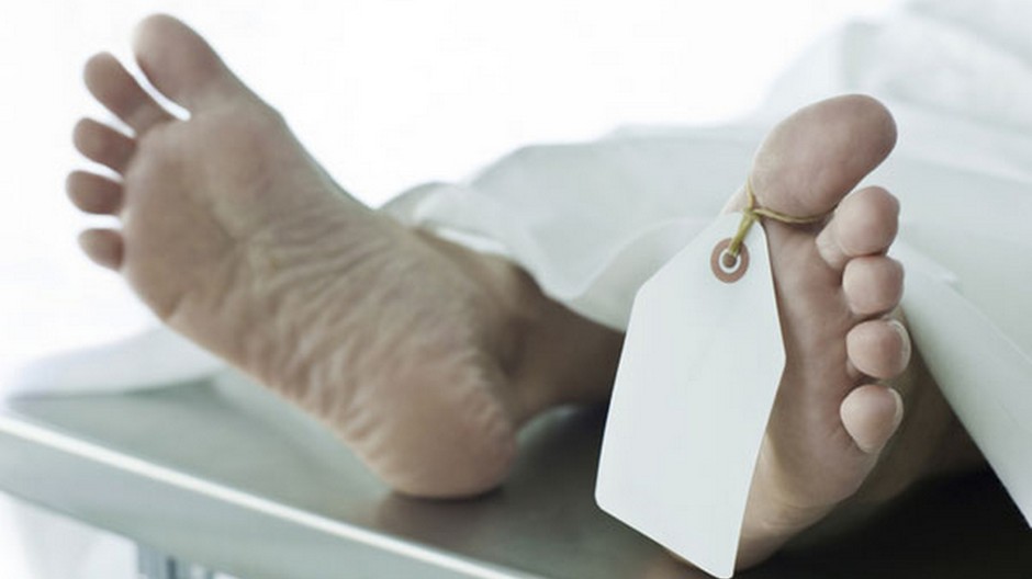 Pitva/ilustračný obrázok