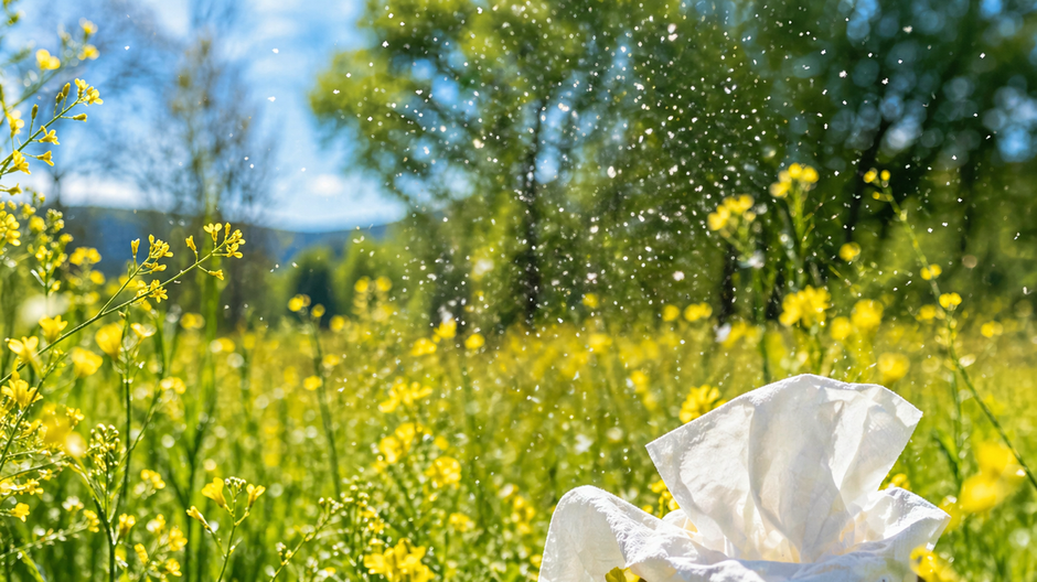 Peľ z kvetín lieta vo vzduchu na rozkvitnutej lúke