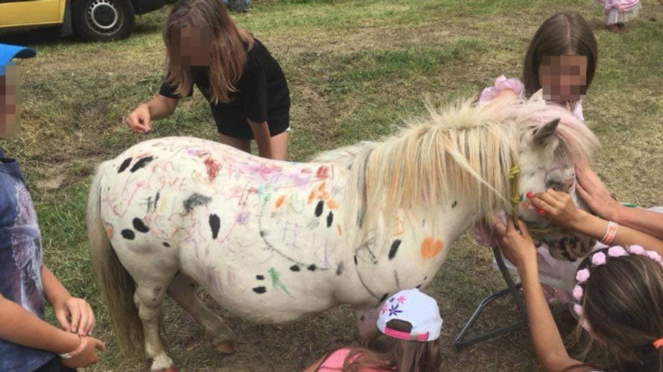 Krutá hra detí. Poníka na festivale pomaľovali 