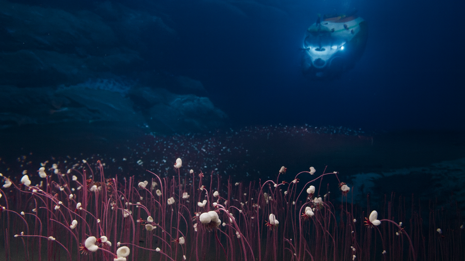 najhlbsi_ekosystem_avatar