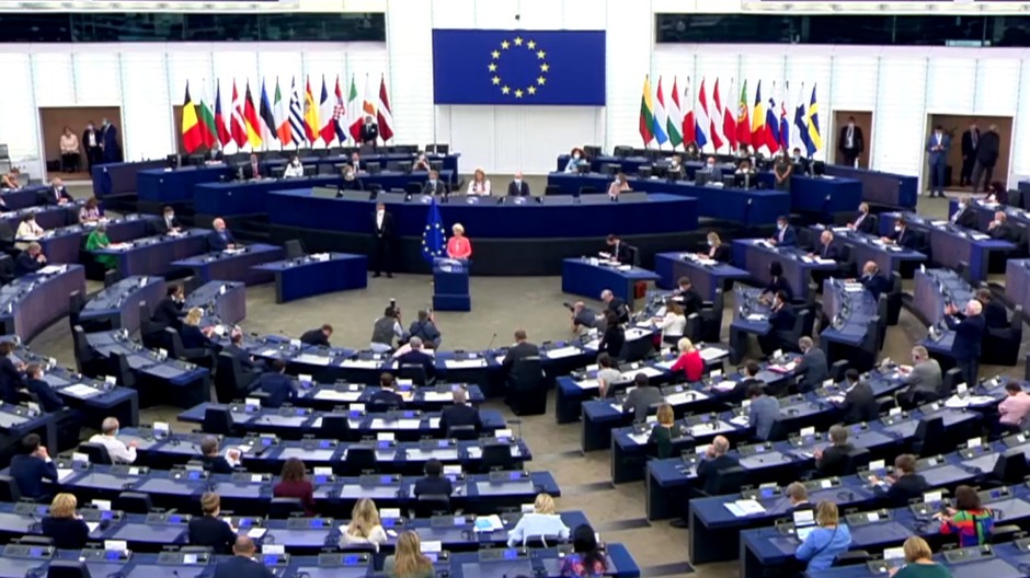 Už v minulosti sa Európsky parlament niekoľkokrát dotkol tejto témy.