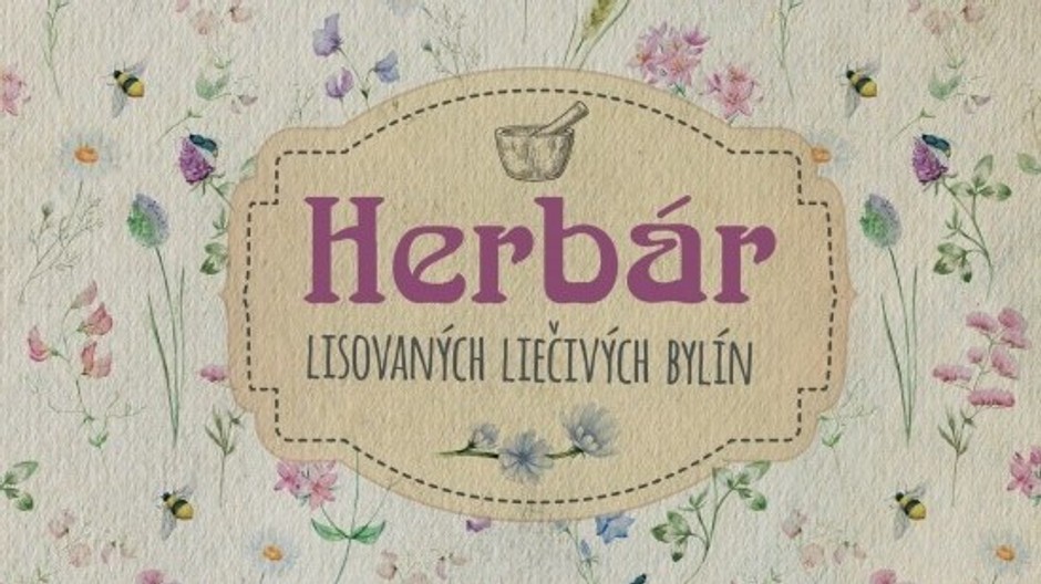 Herbar - Copy