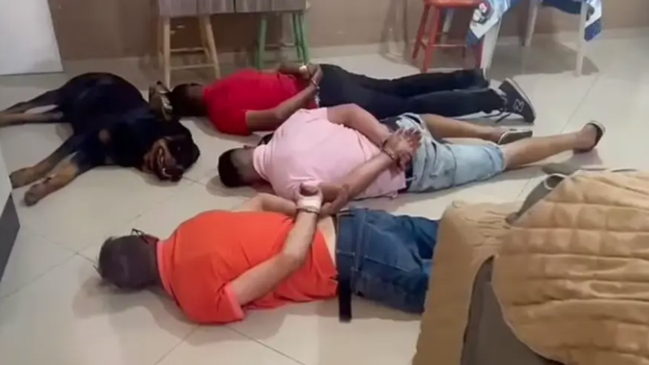 pes si ľahol k dílerom