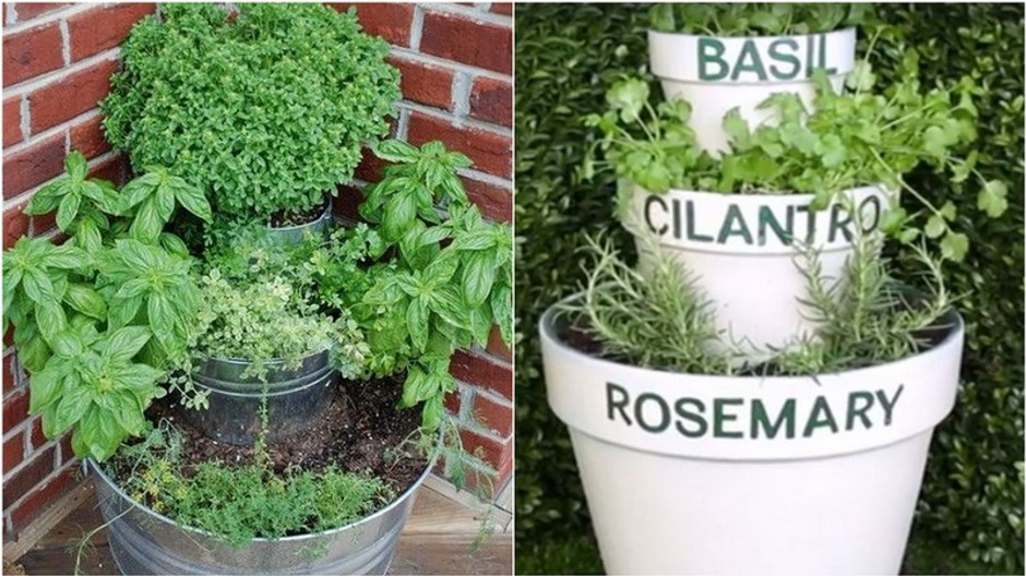 kvetináč na bylinky cover