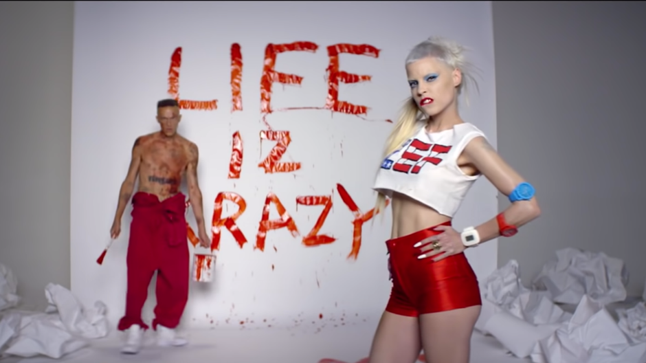 Die Antwoord