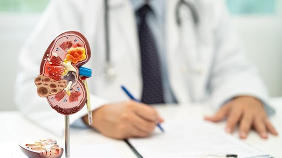 Model oblicky u lekara