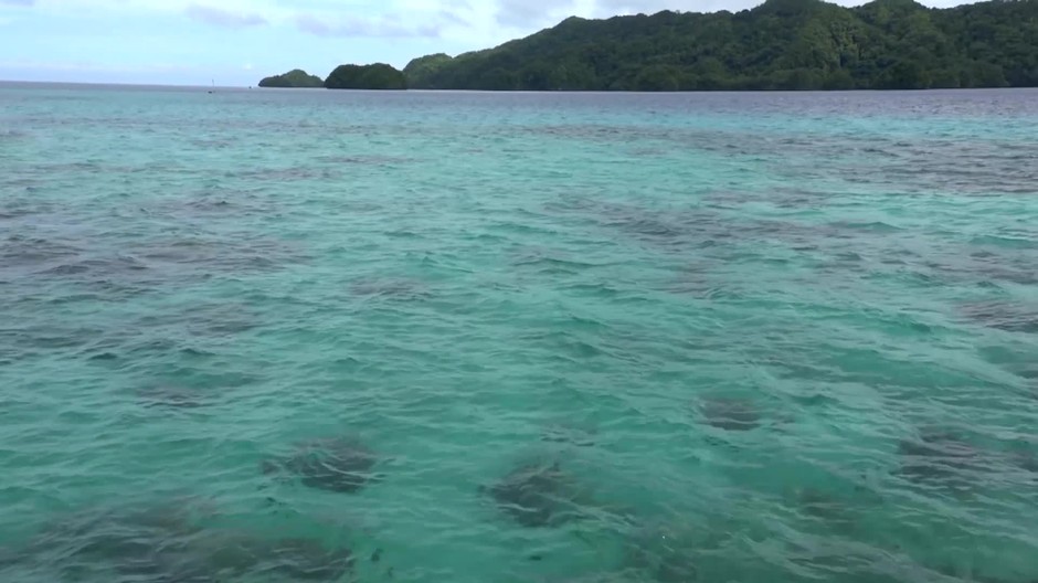 [multi] Znečistenie Tichý oceán 9116