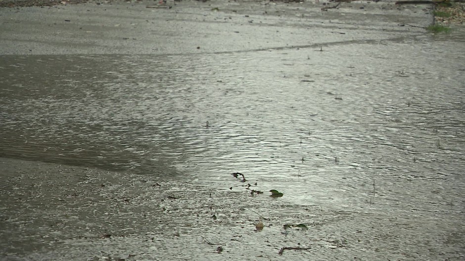 [multi] 091424ENY 2235