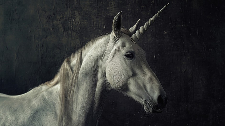 beautiful-unicorn-head 