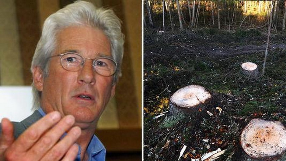 richard gere a stromy