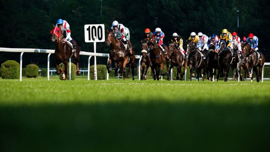 Dostihy, Slovenské derby