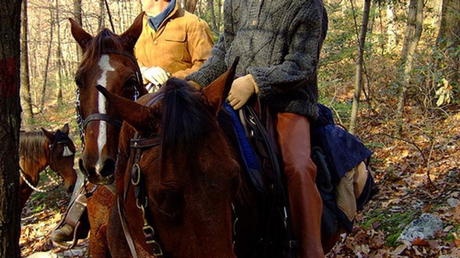 osedlané kone s ľuďmi