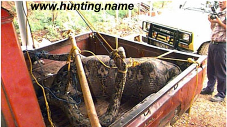 obrovsky had ktory zozral cloveka1