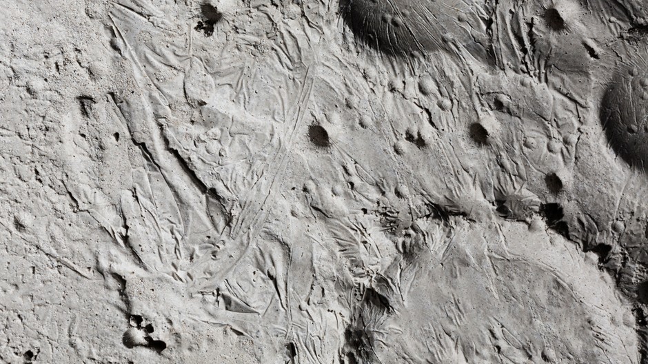 black-white-details-moon-texture-concept