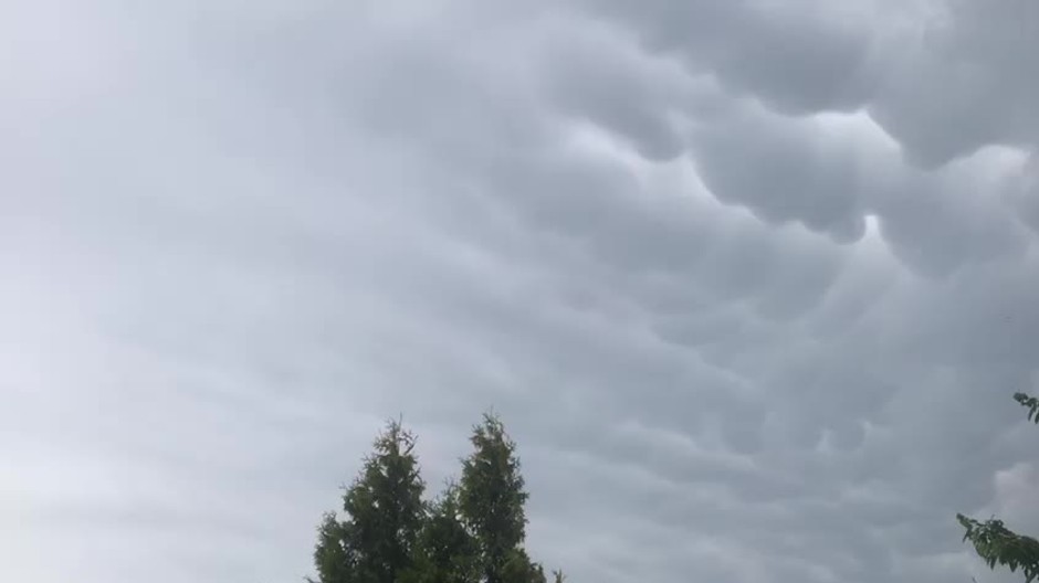 [multi] Oblaky v tvare 7364