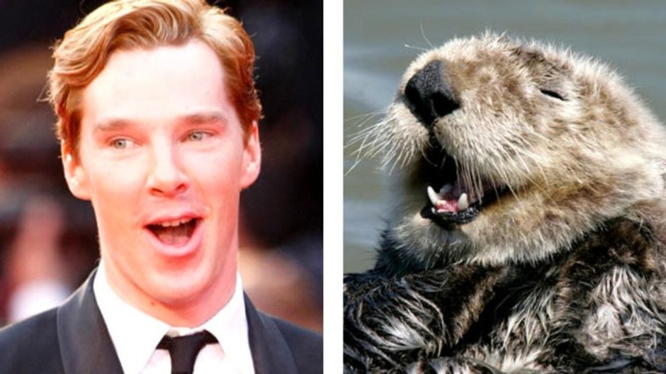 benedict cumberbatch