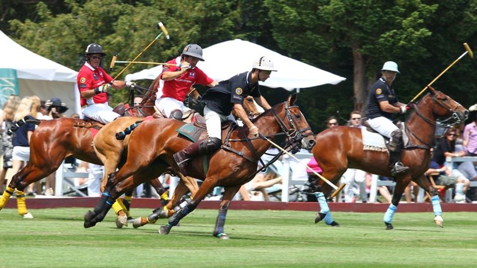 Pólo v Ebreichsdorfe