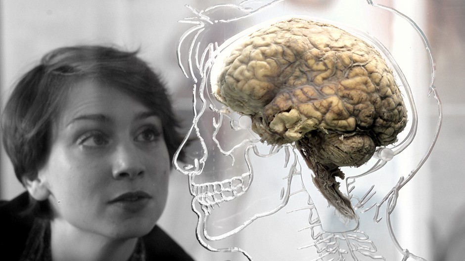 mozog v ludskej hlave, animacia