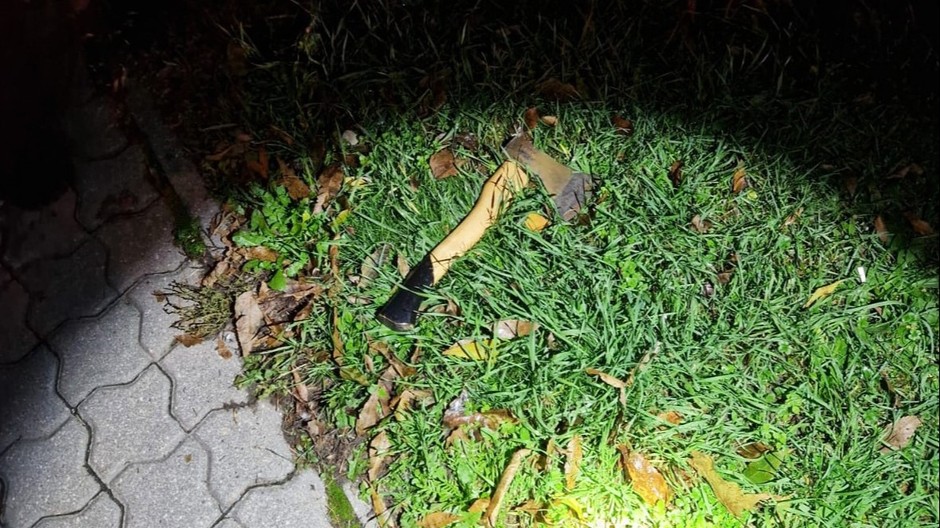 muž so sekerou (cropped)