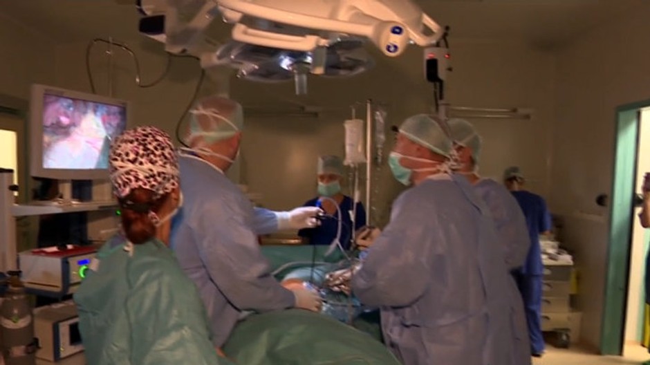 lekári, transplantácia - ilustračné