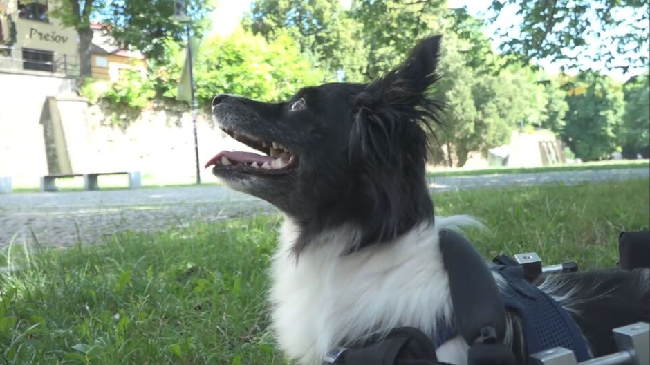 Screenshot 2024-07-01 100953