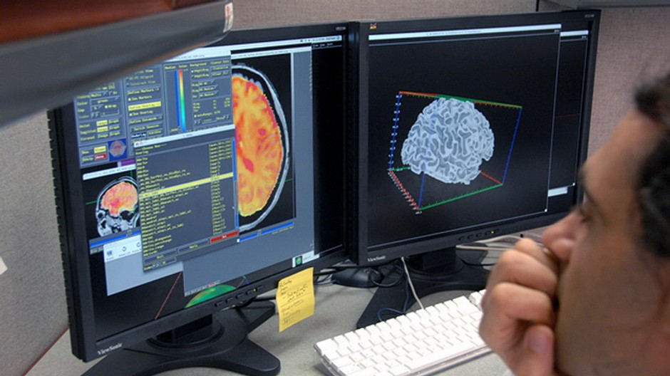 pocitac muz pozera na monitor skumanie vplyvu horcika na mozog potkanov