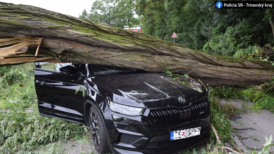 Na auto spadol počas jazdy strom