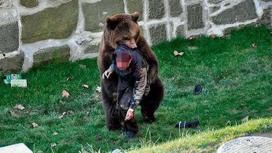 medved utok na cloveka1