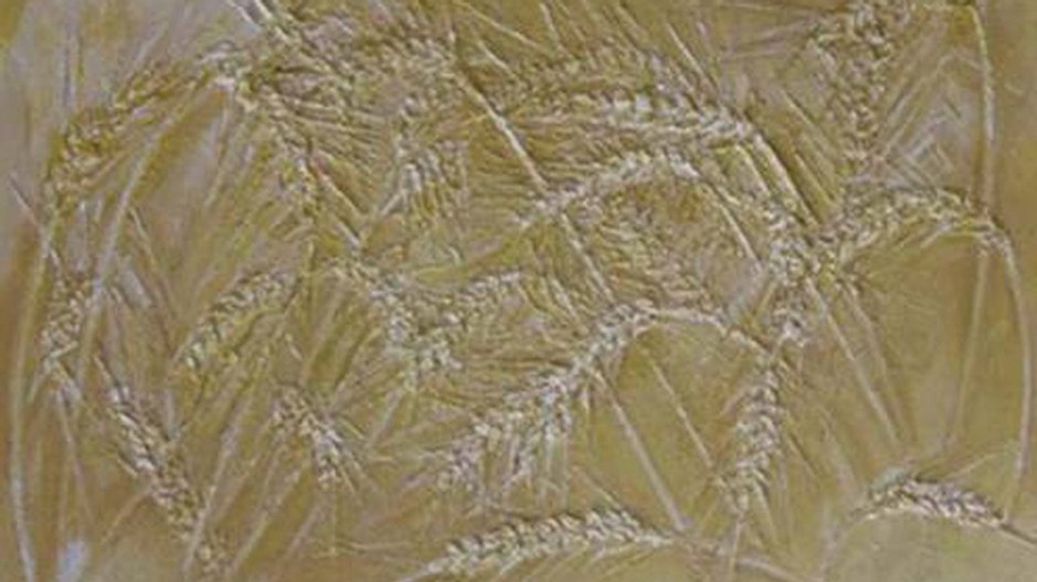 pole a klasy japonskeho umelca shingo okazaki