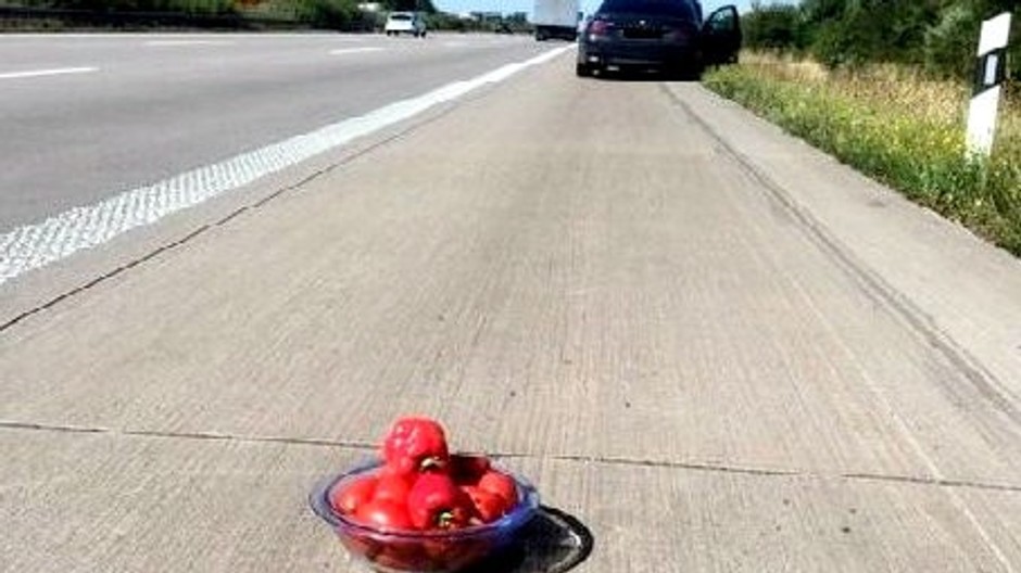 papriky, paradajky, diaľnica