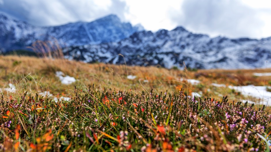 Tatry jeseň ilustračné foto