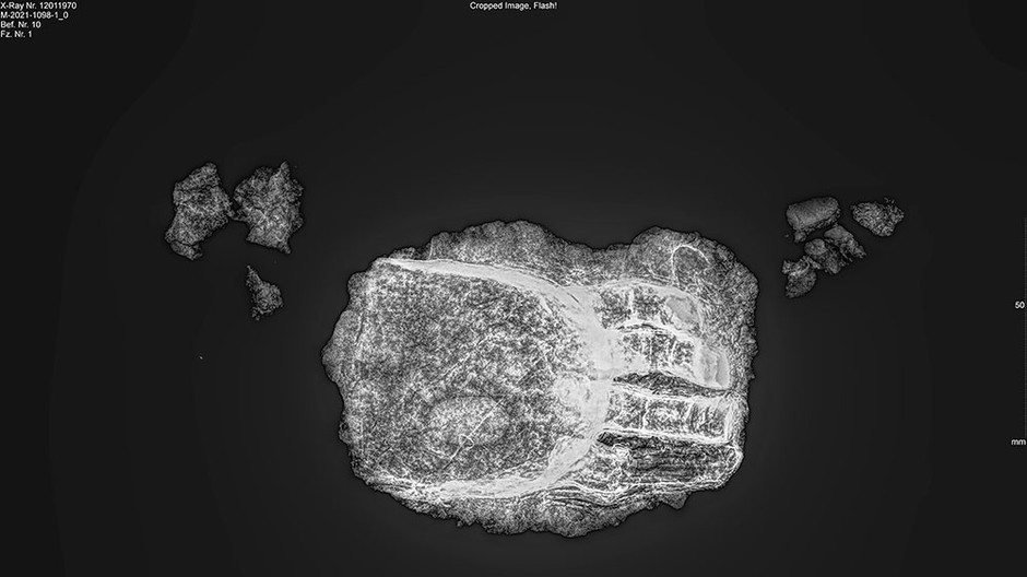 röntgen_hand_12011970