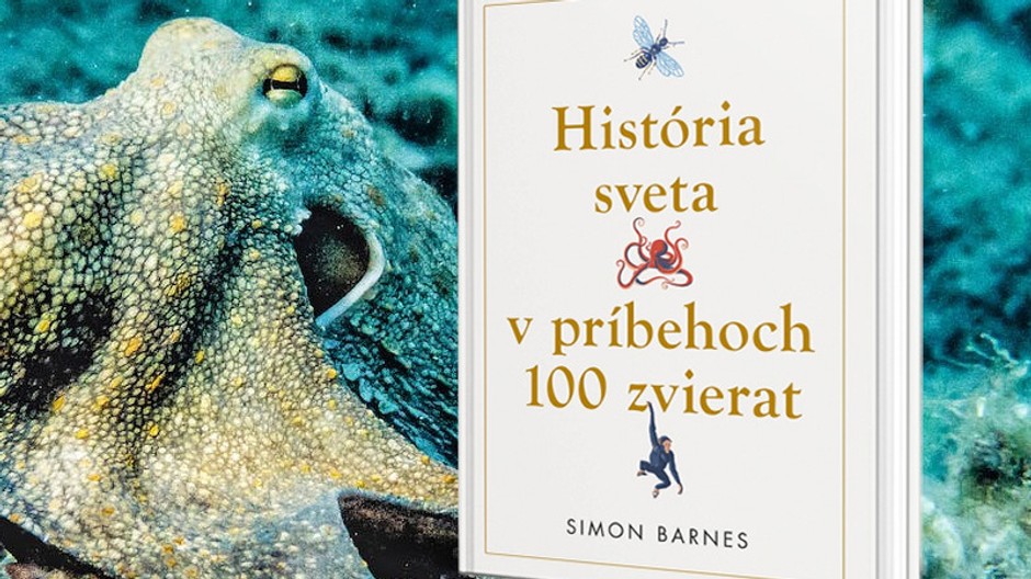 historia svet zvery 2