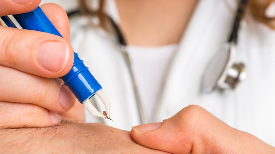 PR_AdobeStock_160820317