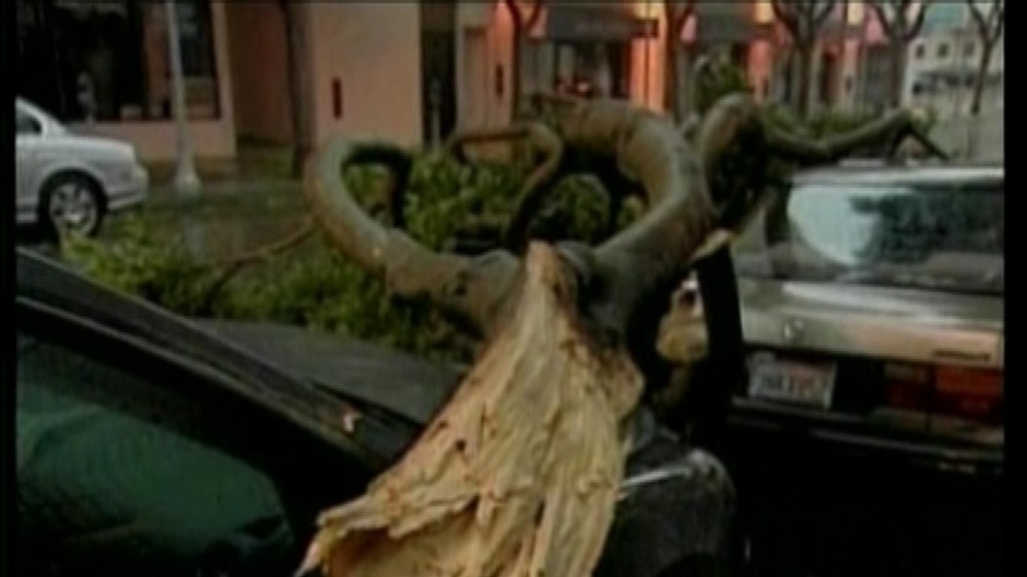 kalifornia-strom padnuty na auto