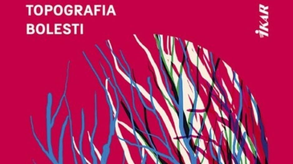 Topografia bolesti - Copy