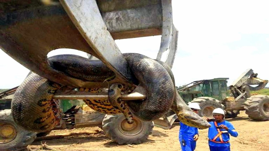 9fed7bec8600f13ddb402620f11da112.jpga