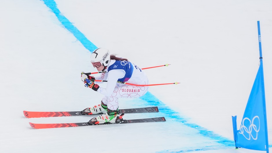 20262002_zoh_fricova_01195694