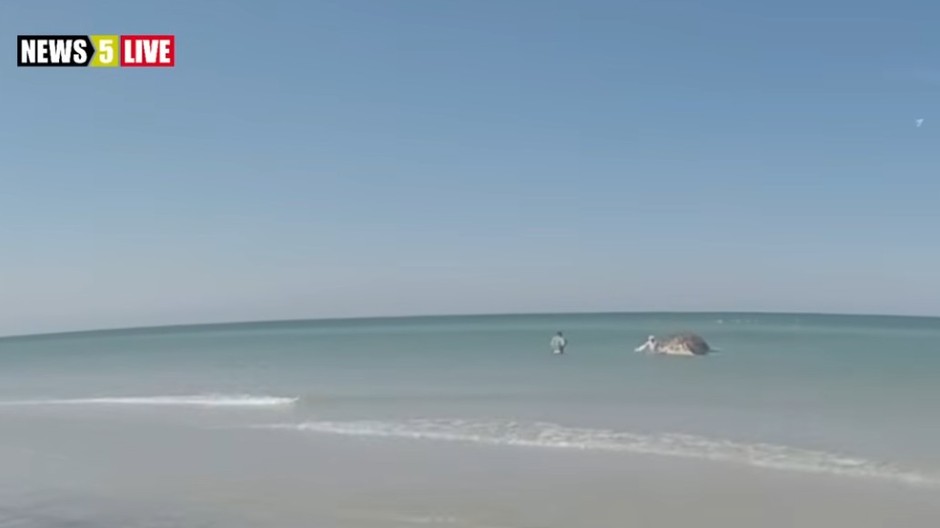 Turisti si z mŕtveho Timmyho urobili atrakciu