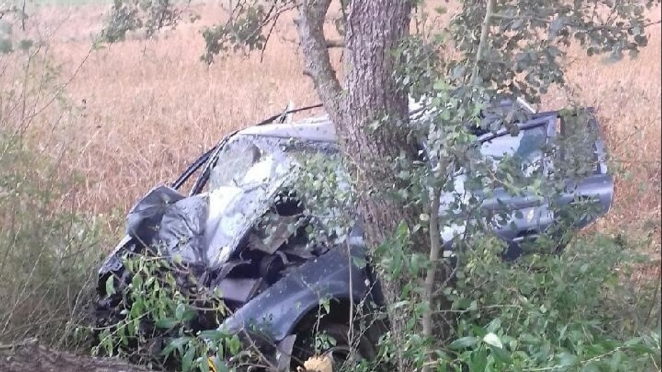 381015714_706253518211399_3409232042046581684_n (cropped)