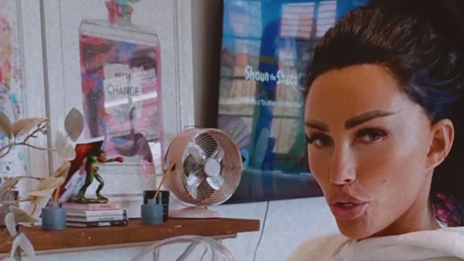 Katie Price po plastike
