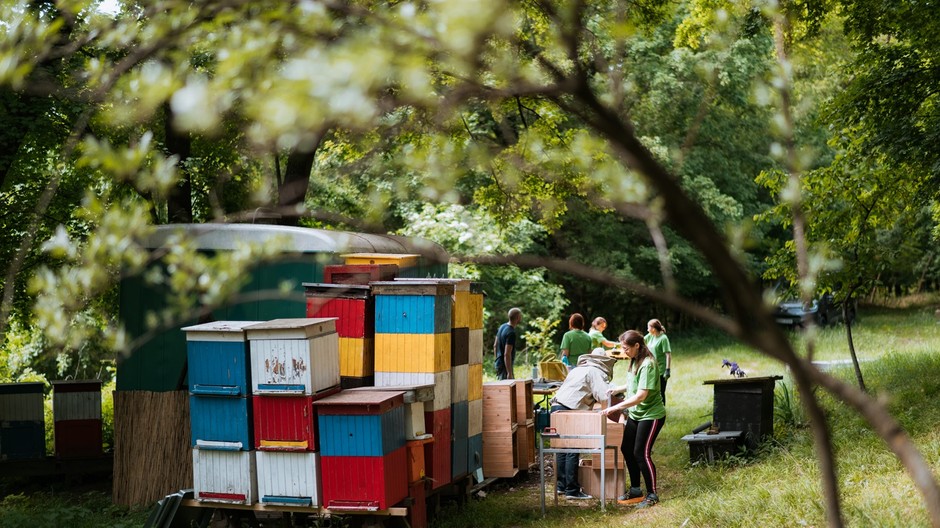 dm drogerie markt_dm spolocne 1 TITULKA