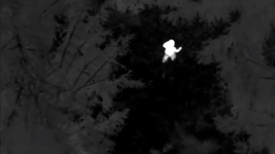 startene dieta termo