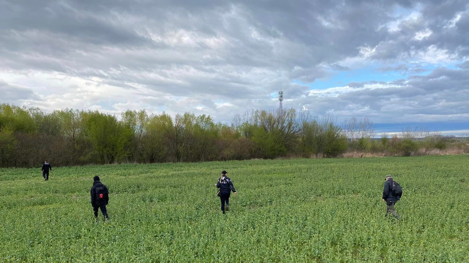 Pátranie po nezvestnom