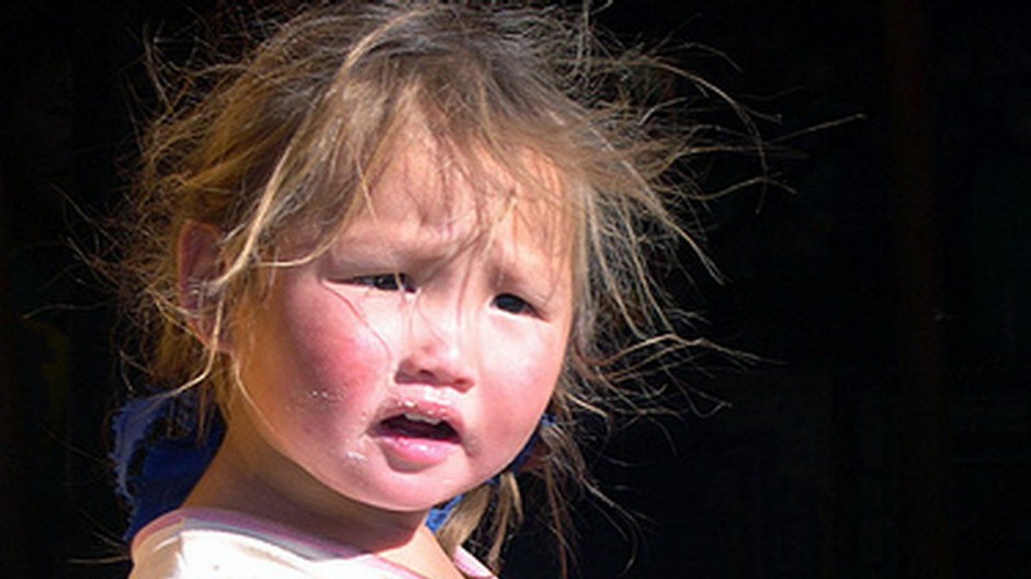 mongolske dievca dieta