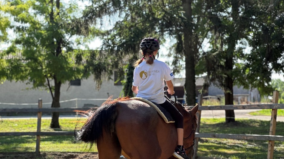 Horses Heal