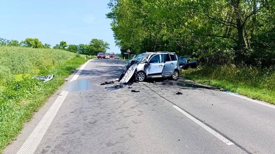 Fatálna dopravná nehoda