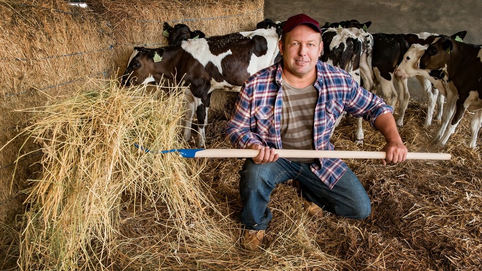 farmár, billa, upravená fotka