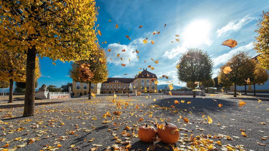 Schloss Hof Herbstfest 007 © Schloß Schönbrunn Kultur- und Betriebsges.m.b.H. - Michal Cilc_print